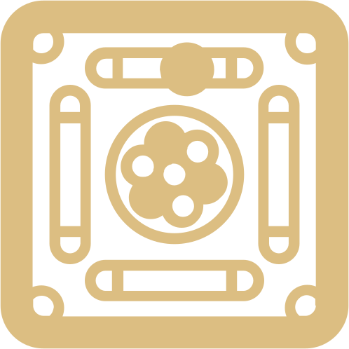 Carrom Board